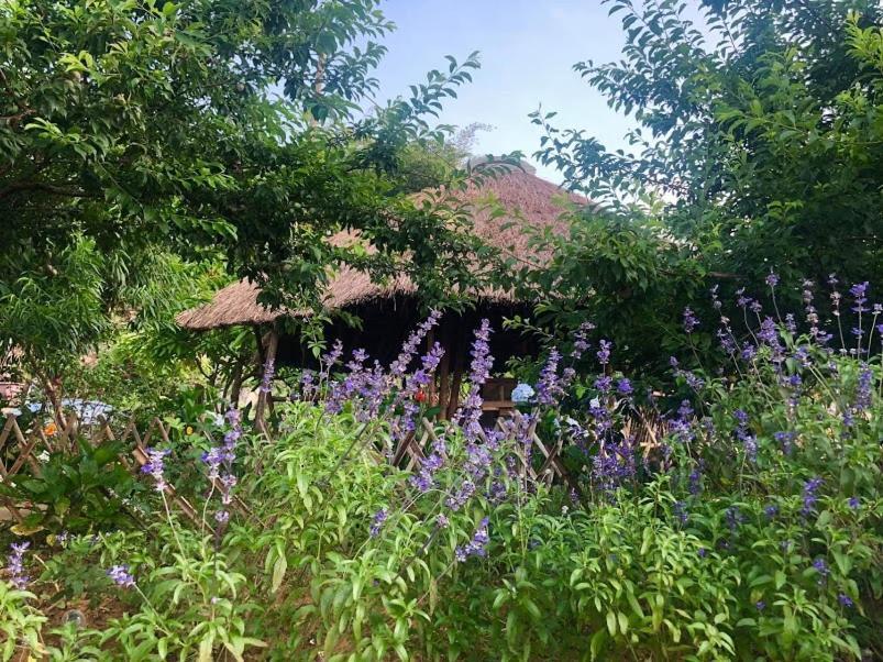 Bed and breakfast Savana Mộc Châu Extérieur photo