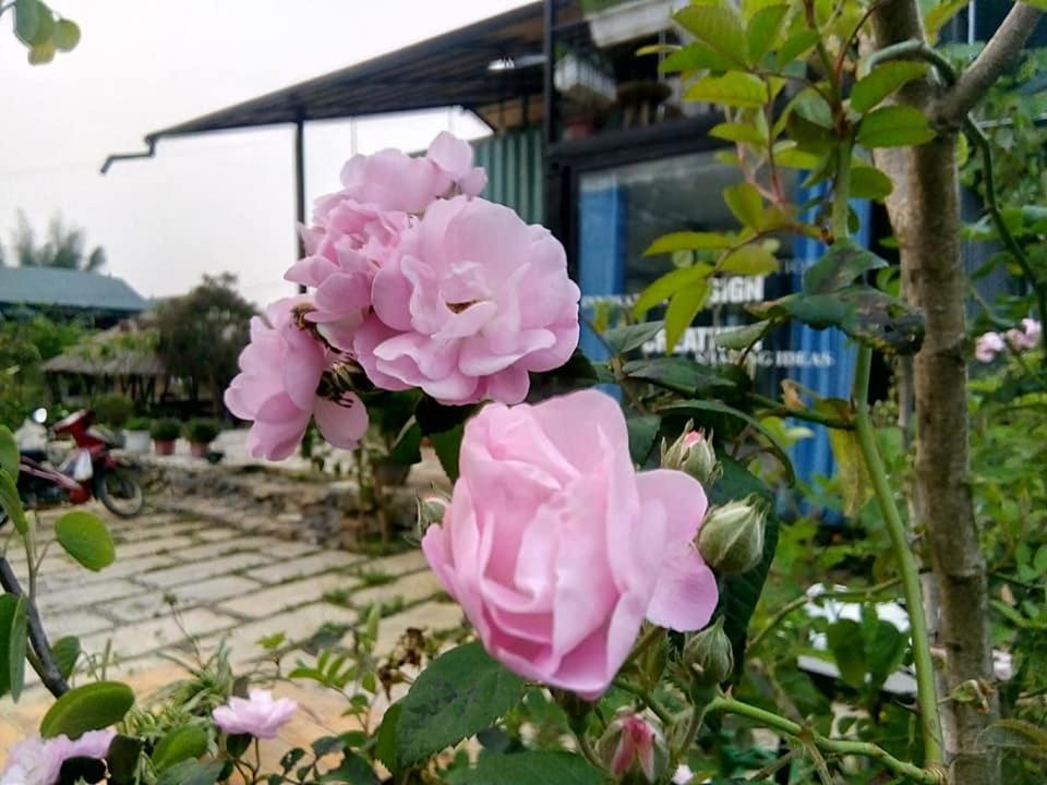 Bed and breakfast Savana Mộc Châu Extérieur photo