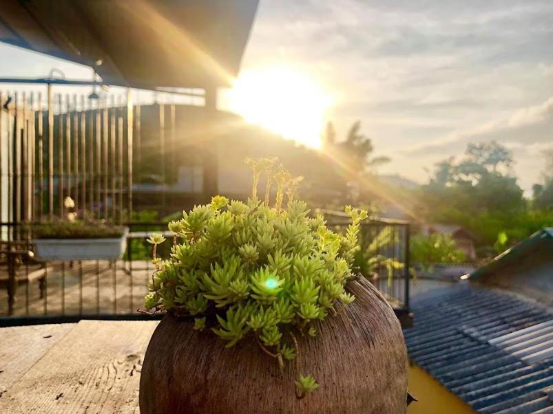 Bed and breakfast Savana Mộc Châu Extérieur photo